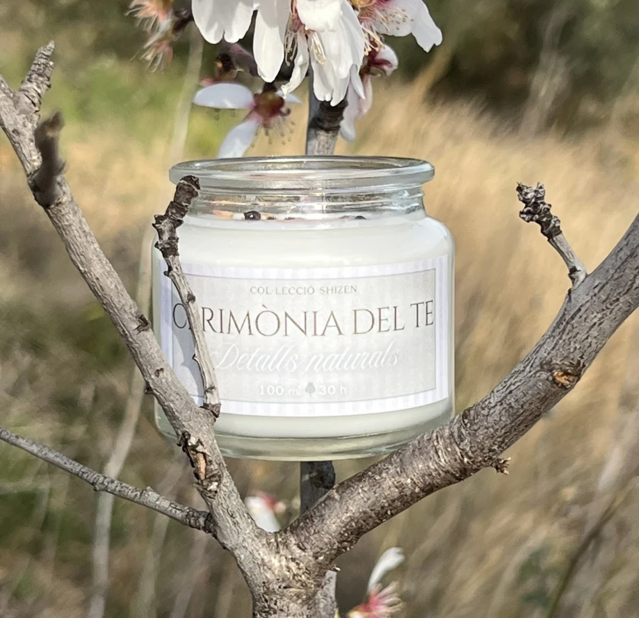 Cerimònia del Te