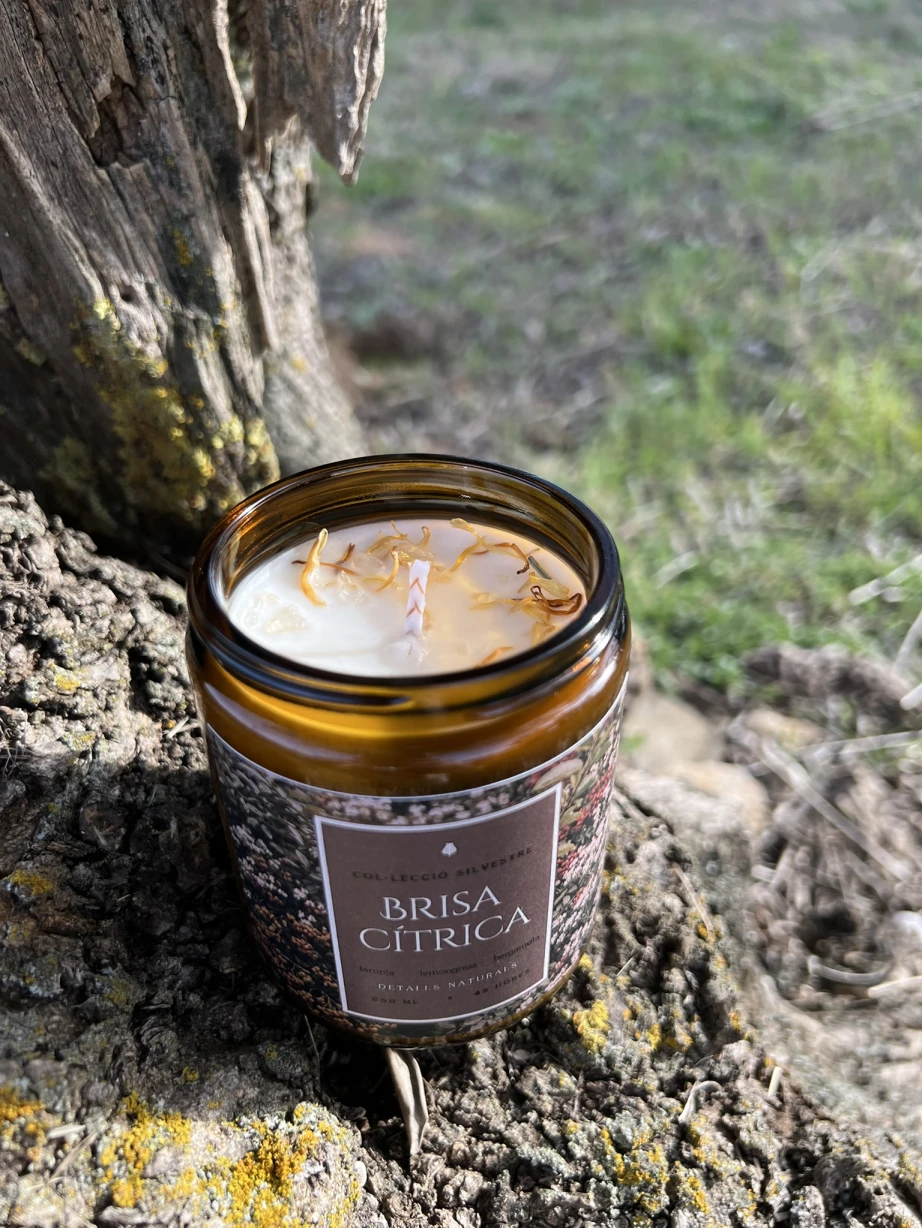 Brisa Cítrica