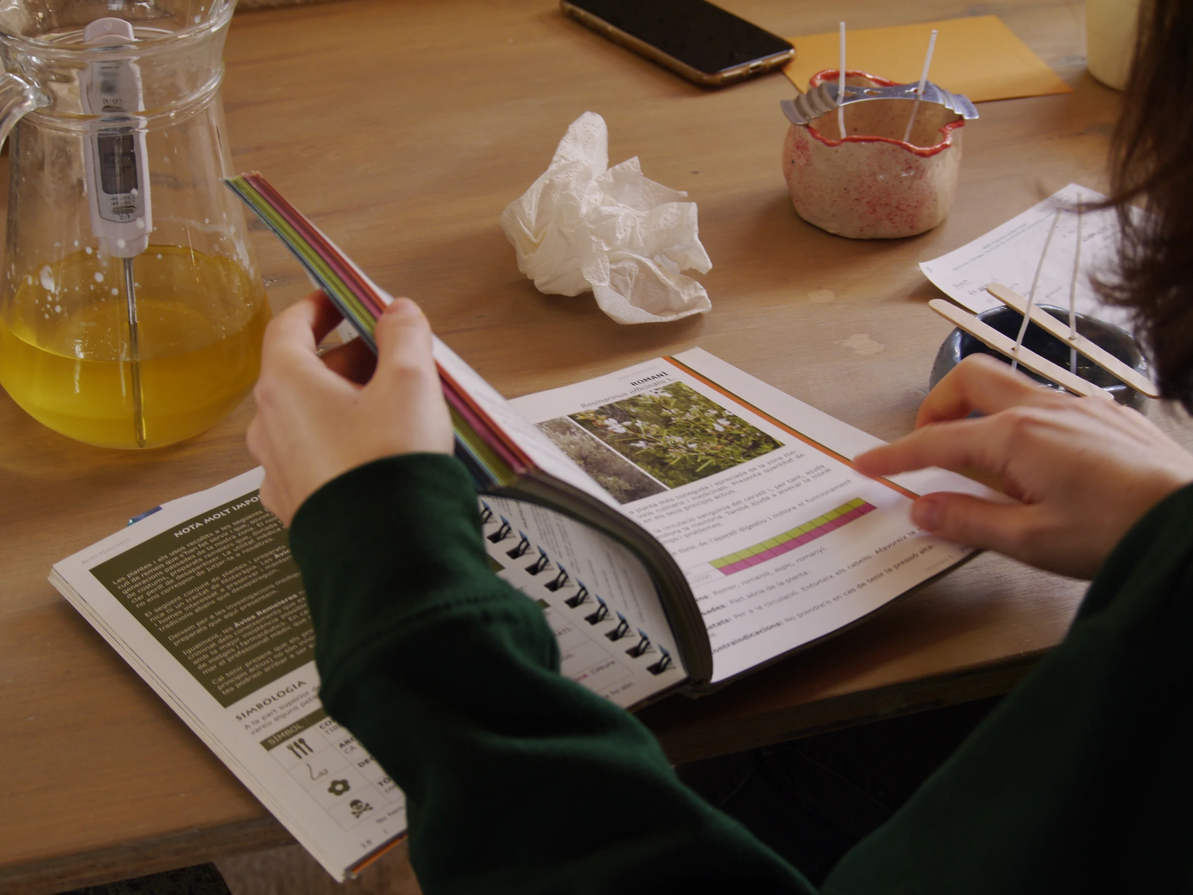 Espelmes de Primavera - Llerona