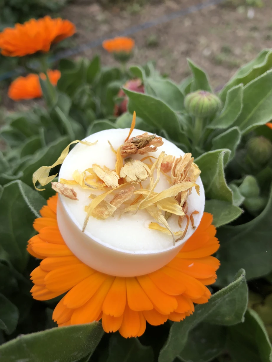 Bombons Aromàtics - Llerona